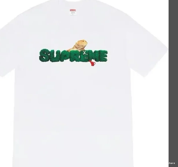 sleeved Lizard T-shirt 20SS Environmental Logo Green S XL Short Black L M White Tee Plant 0725